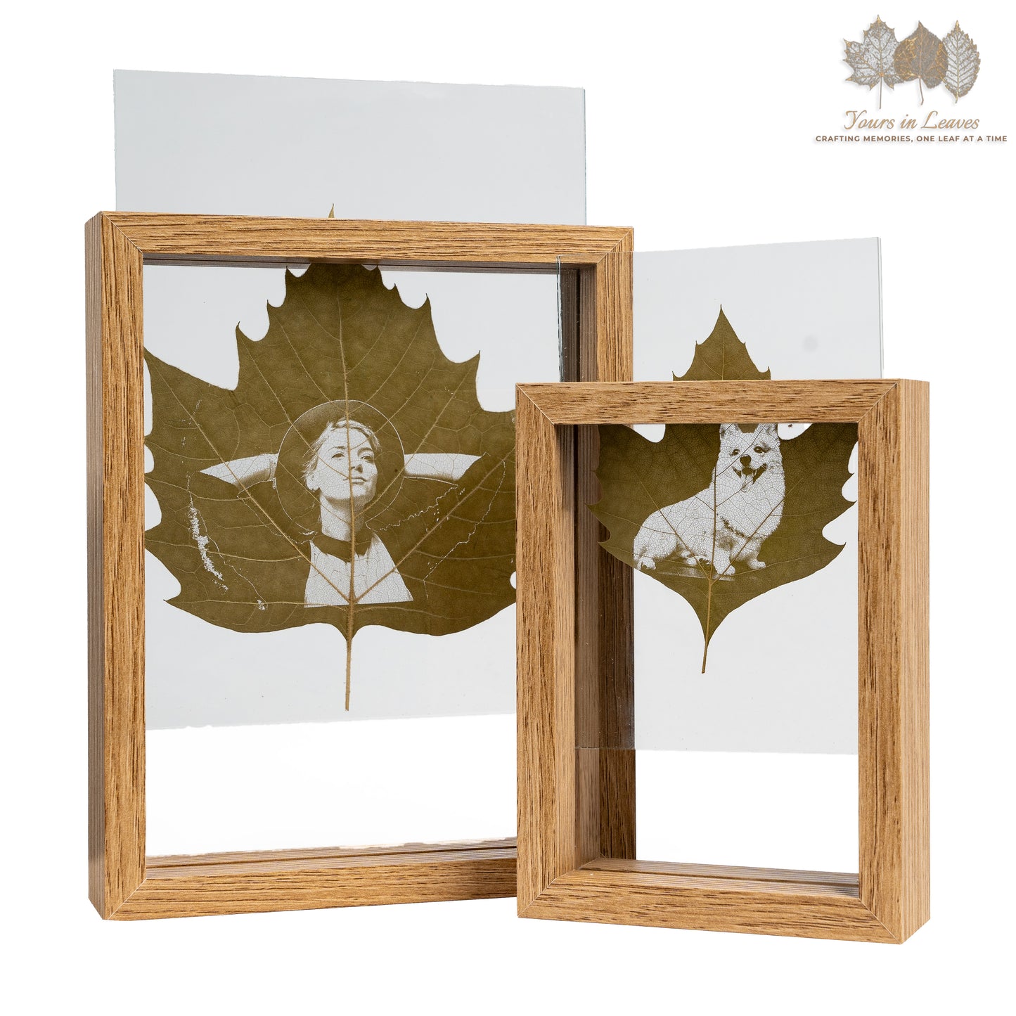 Custom Phoenix Tree Leaf Carved Photo Frame