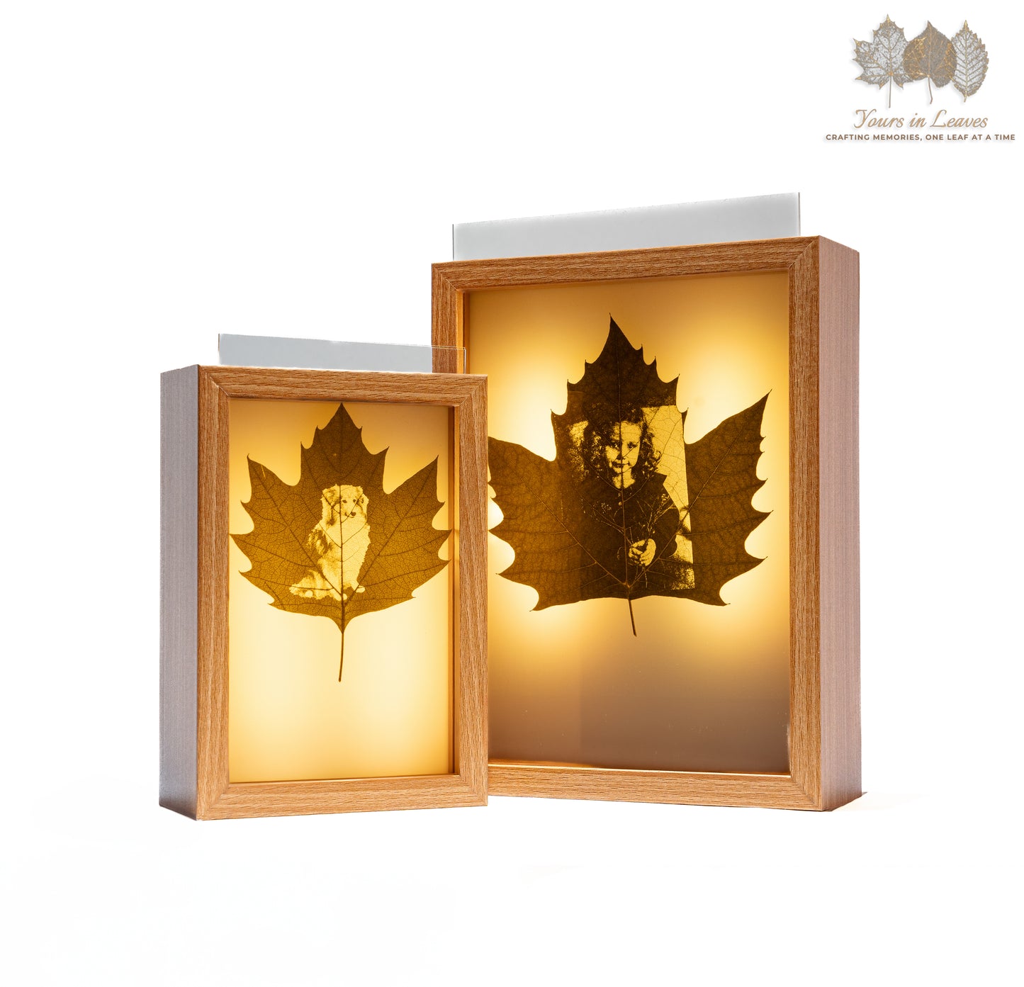 Leaf Carving Custom Luminous Photo Frame