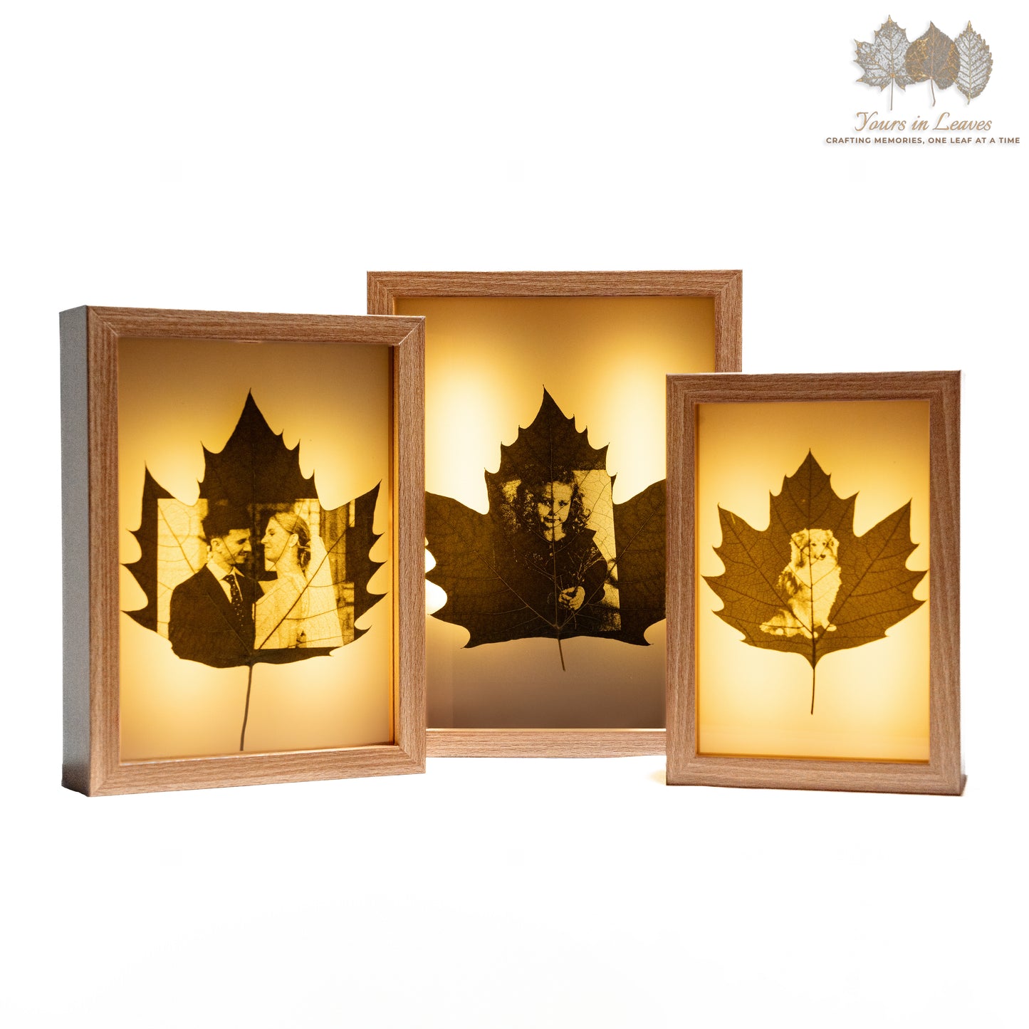 Leaf Carving Custom Luminous Photo Frame